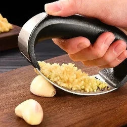 Stainless Steel Garlic Press